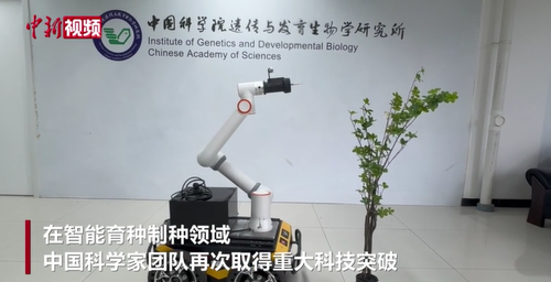微信图片_2025-08-13_091348_899