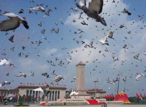 这是纪念大会现场放飞鸽子。新华社记者 牟宇 摄