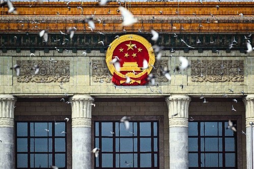 这是纪念大会现场放飞鸽子。新华社记者 张宏祥 摄