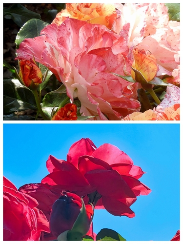 07 07