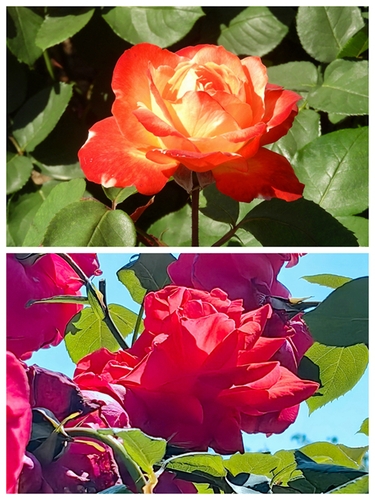 08 08