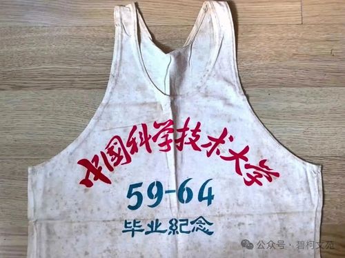 6 6