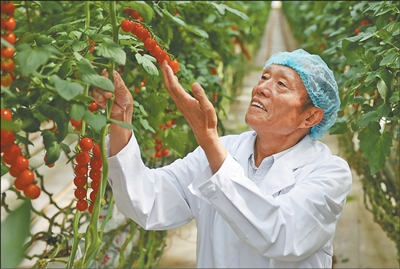 图片1