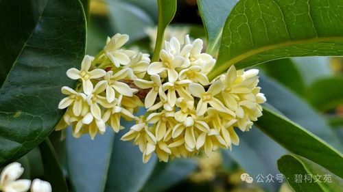 微信图片_2026-10-12_114753_171