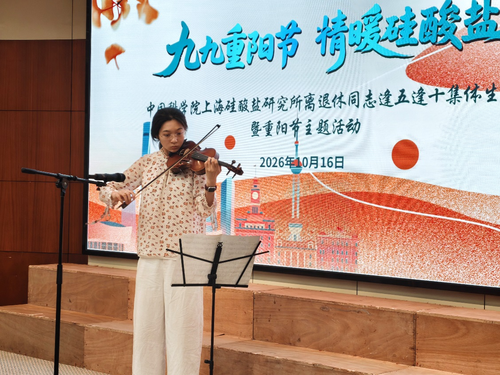 图片8